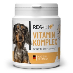ReaVET vitaminų kompleksas šunims ir katėms, milteliai 300g ReaVET vitaminų kompleksas šunims ir katėms, milteliai 300g