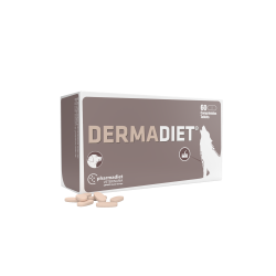 Dermadiet papildas odai 60 tab.