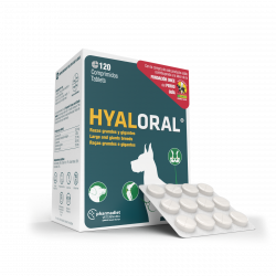 HYALORAL Razas Grandes Y Gigantes 120 tab. HYALORAL Razas Grandes Y Gigantes 120 tab.