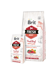 Brit Fresh Beef with Pumpkin Puppy Large 12kg
