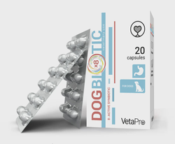 DogBiotic N20