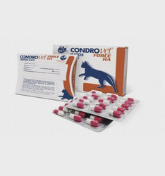 Bioiberica CONDROVET FORCE Ha katėms 45 kapsulės Bioiberica CONDROVET FORCE Ha katėms 45 kapsulės