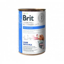 Brit GF Veterinary Diets kons. šunims ir katėms Recovery 6x400g
