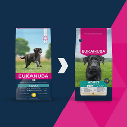 Eukanuba Large Adult sausas maistas šunims su vištiena, 15 kg