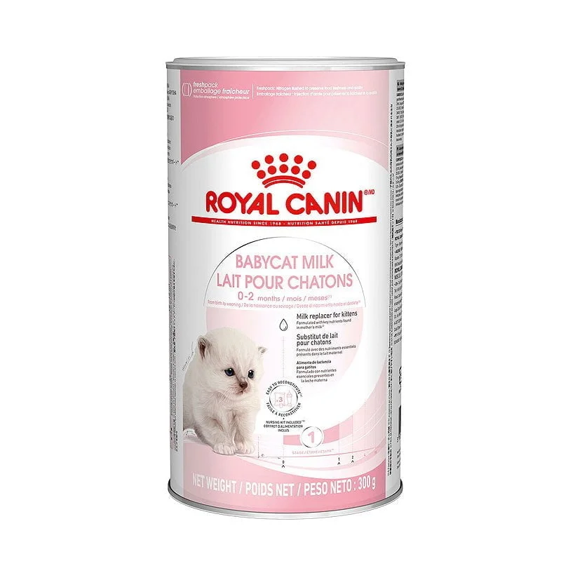 Royal Canin Babycat milk pieno pakaitalas kačiukams 300gr