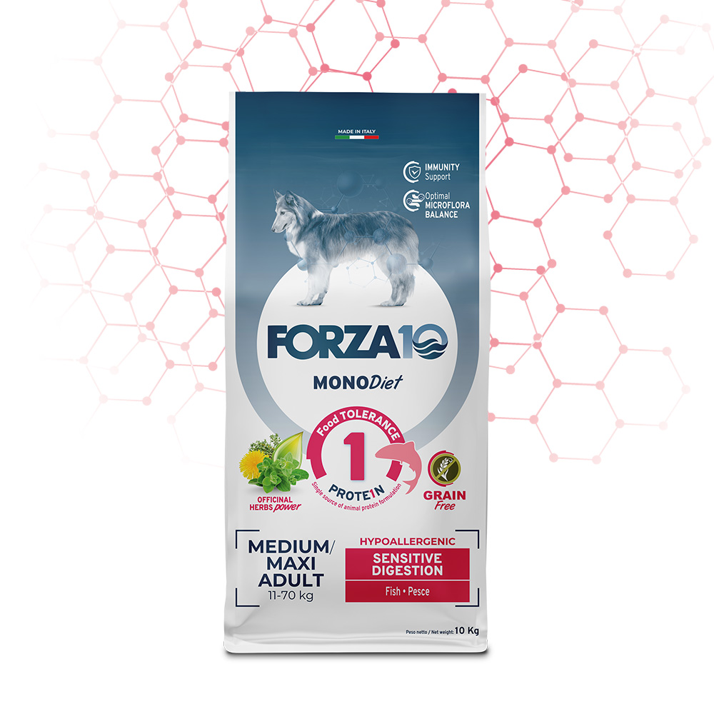 FORZA10 Monodiet Med/Maxi Adult Sensitive Digestion šunims begrūdis su žuvimi 10kg