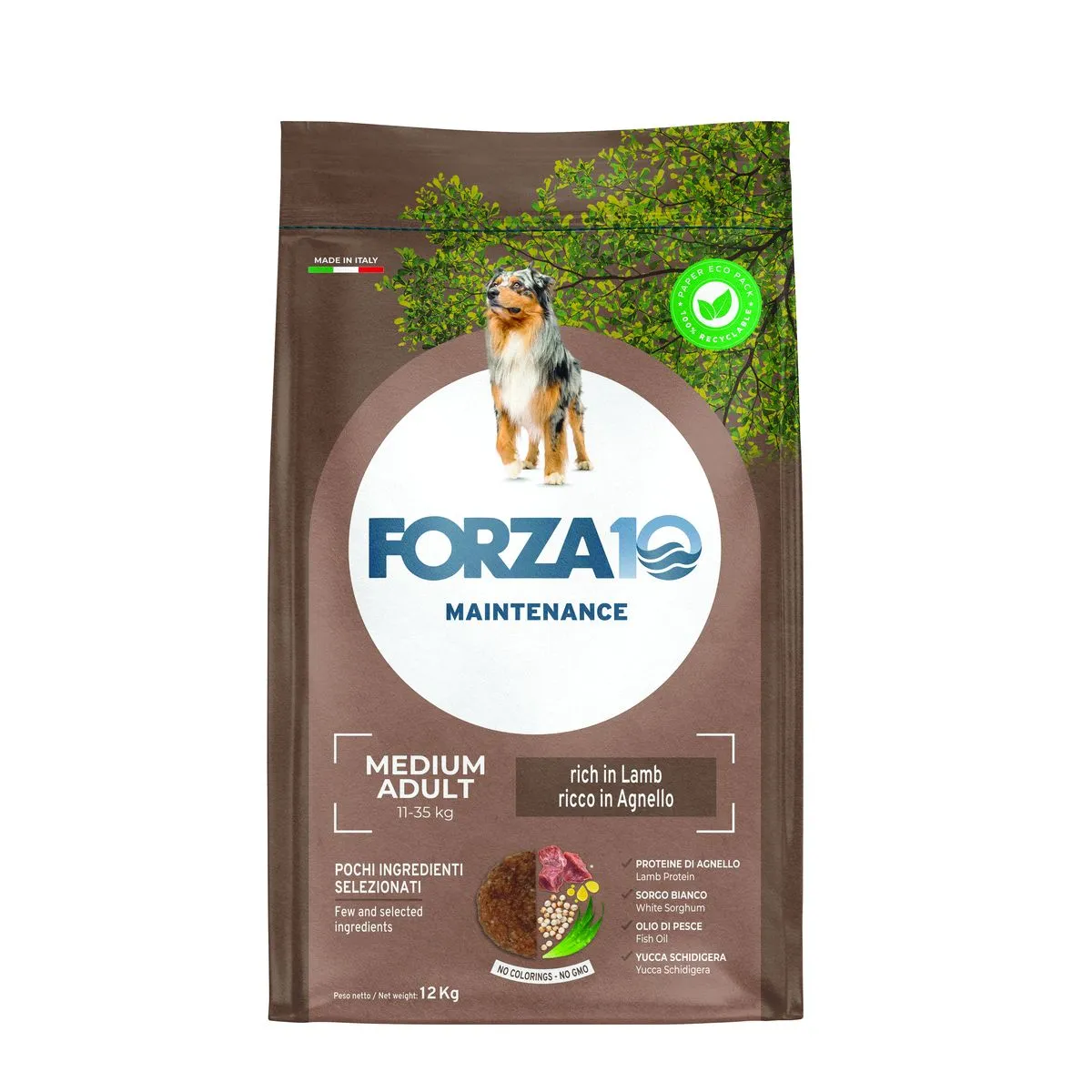 FORZA10 Maintenance Medium Adult šunims su ėriena 12kg