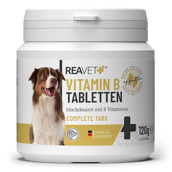ReaVET vitamino B komplekso tabletės šunims 120tab