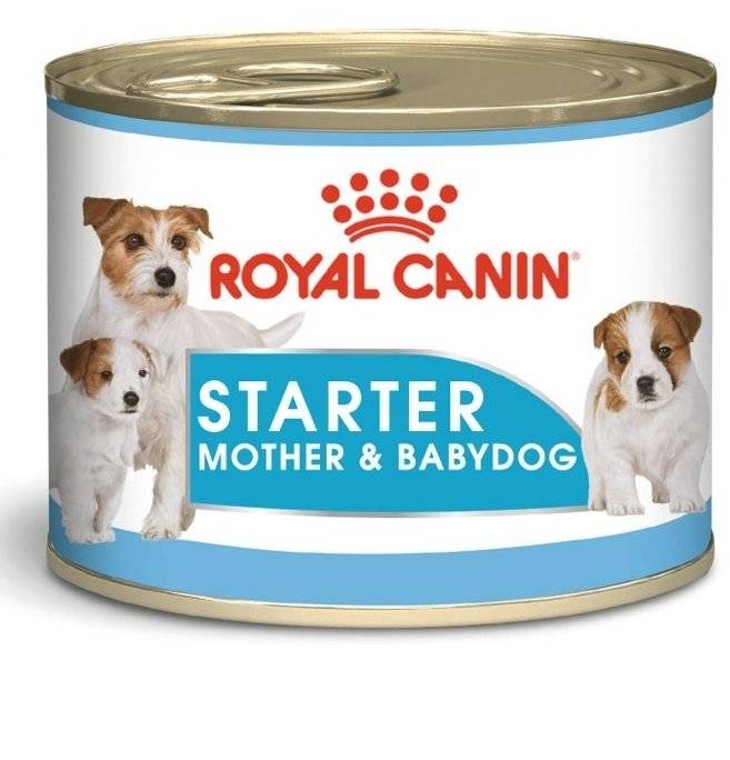 Royal Canin Starter Mousse konservai 195gr.
