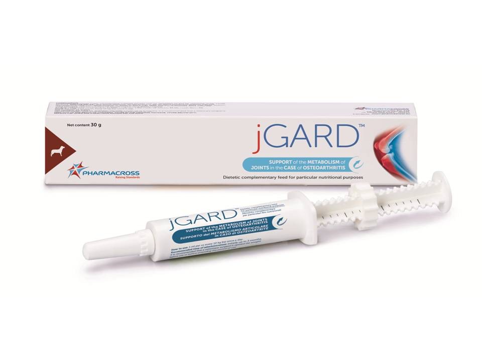 jGARD pasta – osteoartrito atveju – mažų veislių šunims 30g