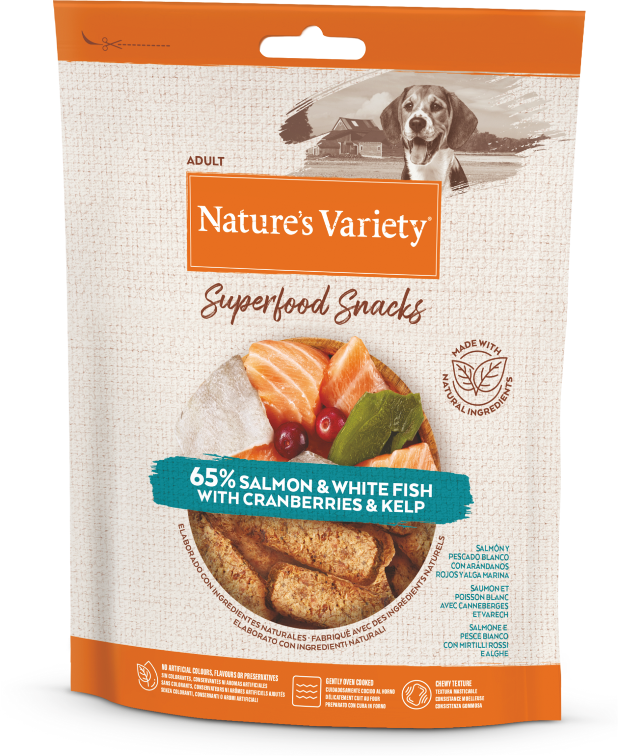Natures Variety SUPERFOOD SNACKS lašiša 85g