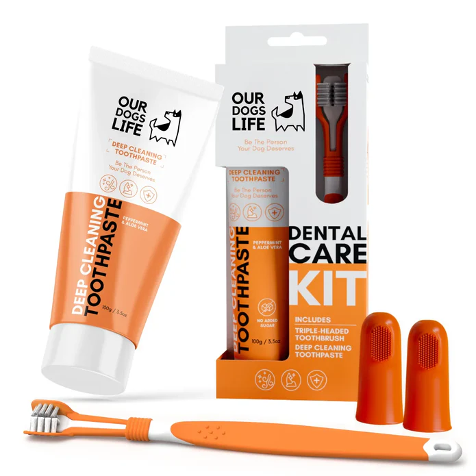 OURDOGSLIFE DENTAL CARE KIT - rinkinys dantų priežiūrai šunims – dantų šepetėlis ir pasta