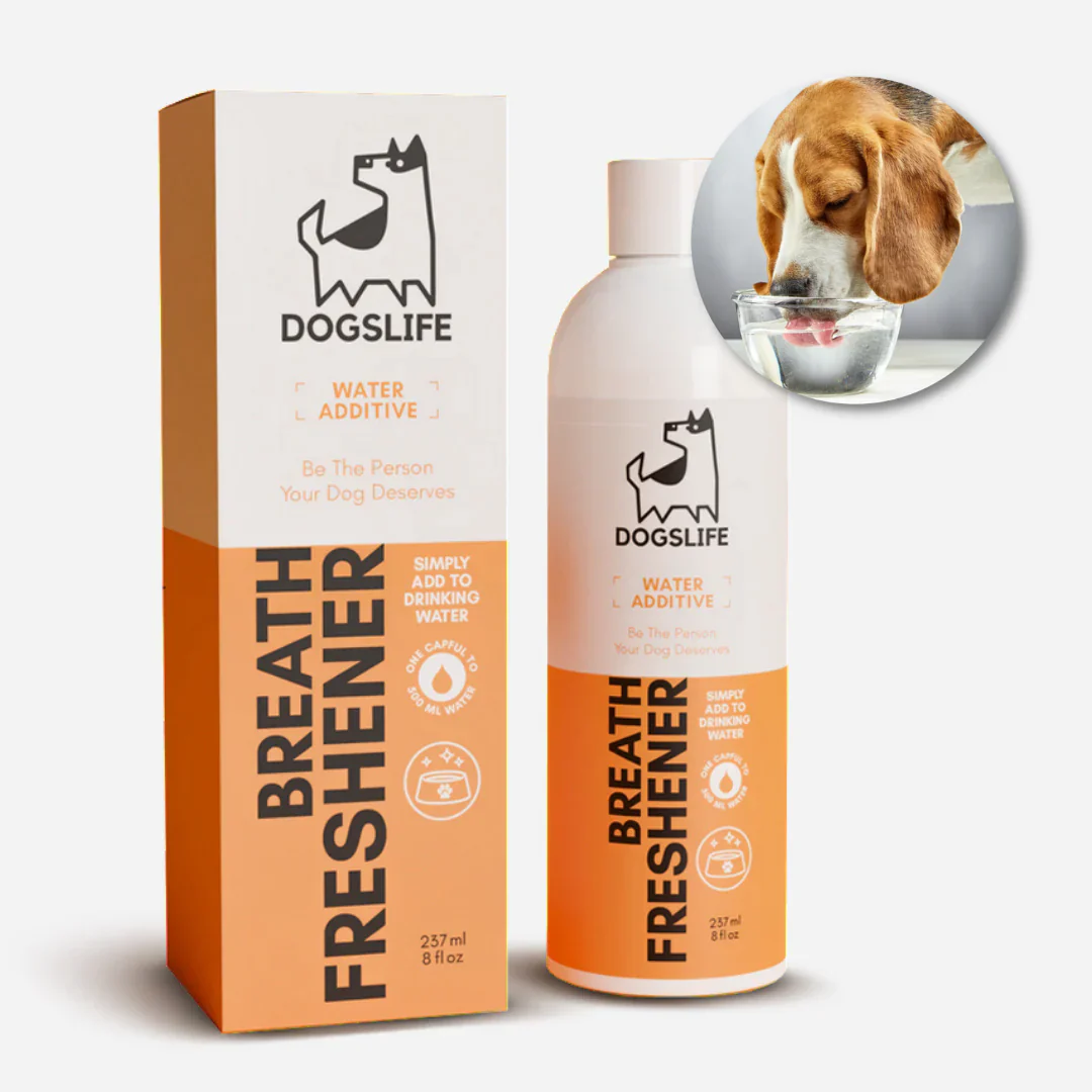 OURDOGSLIFE Dental water additive -dantų skalavimo skystis 237ml