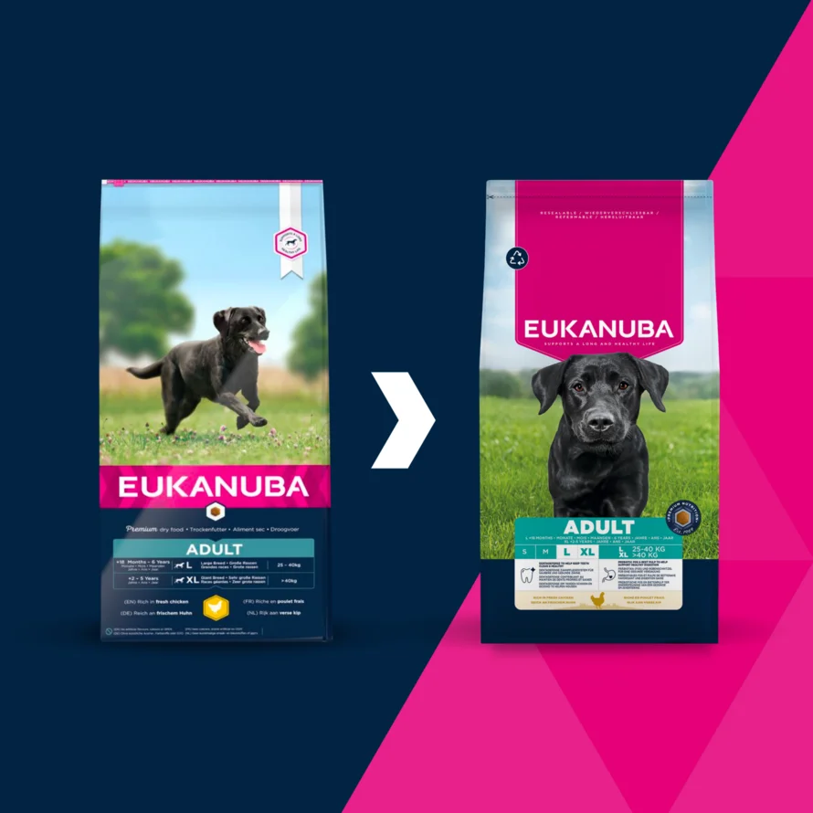 Eukanuba Large Adult sausas maistas šunims su vištiena, 15 kg