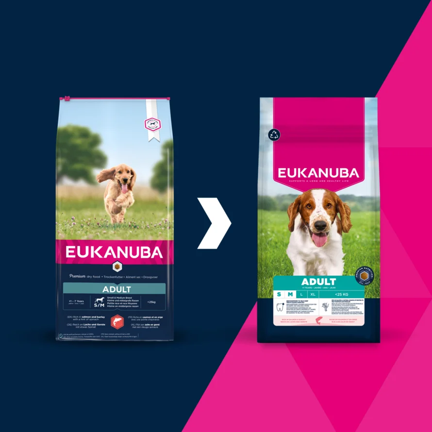 Eukanuba Adult Salmon & Barley small/medium 12kg