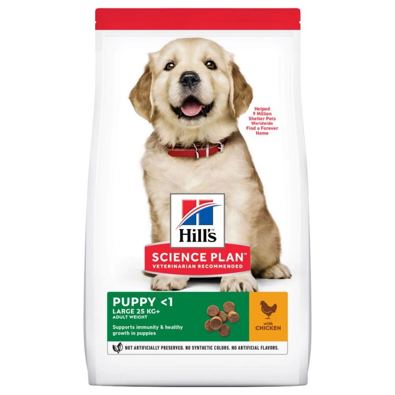 Hills Canine Puppy Large Breed chicken 6kg