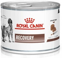 Royal Canin Dog/Cat Recovery 195g