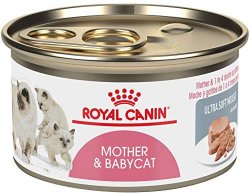 Royal Canin Babycat Instinctive mousse 195gr.