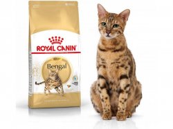 Kačių maistas Royal Canin Bengal Cat 10kg