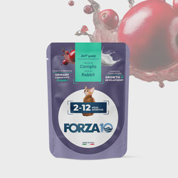 FORZA10 Maintenance Kitten konservai kačiukams ir katėms 2-12 mėn. su triušiena 80g