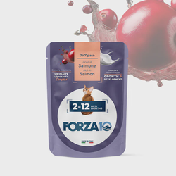 FORZA10 Maintenance Kitten konservai kačiukams ir katėms 2-12 mėn. su lašiša 80g
