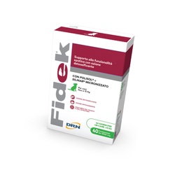 FIDEK 1000mg N 40