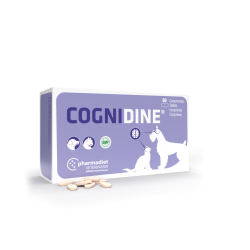 Cognidine N60