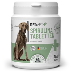 ReaVET spirulina šunims, tabletės 500vnt