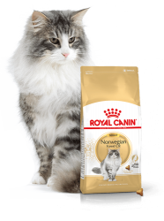 Kačių maistas Royal Canin Norwegian Cat 2kg