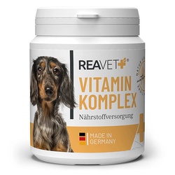 ReaVET vitaminų kompleksas šunims ir katėms, milteliai 300g