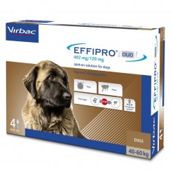 Effipro Duo 405 mg, lašai 40-60 kg šunims 4vnt pakuotėje