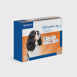 Effipro Duo 67 mg/20 mg, lašai 2-10 kg šunims 4vnt pakuotėje