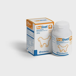PROLIVET® dideliems šunims, tabletės N30 