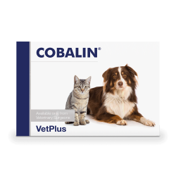 Cobalin - B9 ir B12 vitaminų papildas šunims ir katėms N60