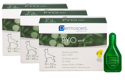 Dermoscent PYOspot® užlašinamas tirpalas šunims 0-10kg 0,6ml N4 
