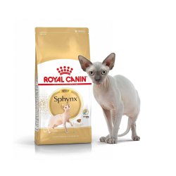 Kačių maistas Royal Canin Sphynx Adult 2kg.
