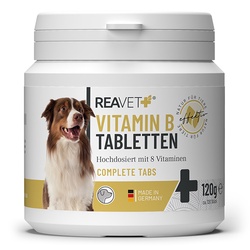 Reavet vitamino B komplekso maisto papildas šunims, tabletės 180gr