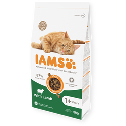 IAMS Adult Cat Lamb 10 kg