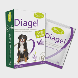 Mervue Diagel papildas nuo viduriavimo dideliems šunims, 20gx 4