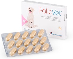 FolicVet – folinė rūgštis – šunims ir katėms N15