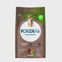 FORZA10 Maintenance Medium Adult šunims su ėriena 12kg