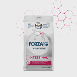 FORZA10 Intestinal Active Line 10kg