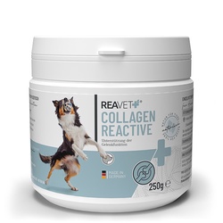 ReaVET kolagenas reactive šunims, milteliai 250g