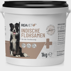 ReaVET Gysločio sėklos šunims ir katėms 1kg