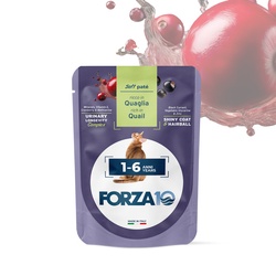 FORZA10 Maintenance Adult konservai nesterilizuotoms katėms 1-6 metų su putpelių mėsa 80g
