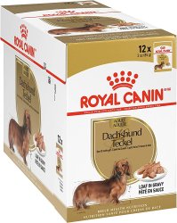 Royal Canin WET Dachshund adult 12x85g