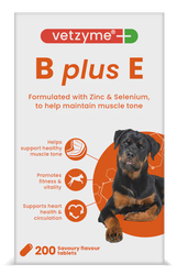 Vetzyme B+E papildas 200 tabl.