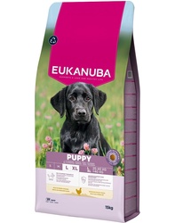 Eukanuba Puppy Large Chicken 15kg