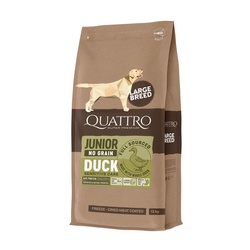 Quattro Junior Large Breed Duck begrūdis sausas maistas šunims 12kg