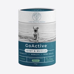 GoActive Peanut Butter – sąnariams ir raumenims – šunims 270g